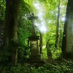 Natura Taszow *