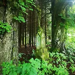 Natura Taszow Lewin Klodzki