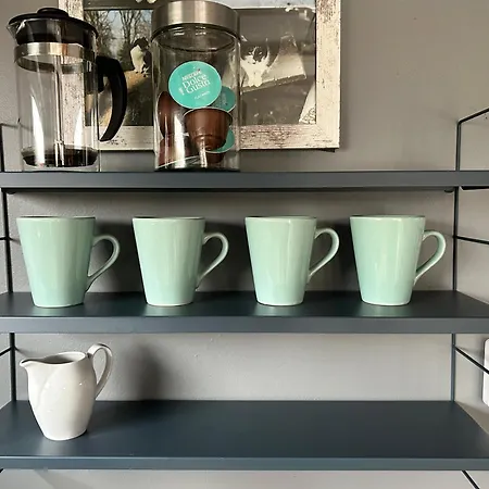 Natura Taszow Дом отдыха