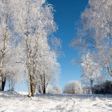 Natura Taszów * Lewin Klodzki