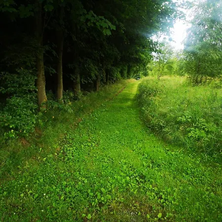 Natura Taszów