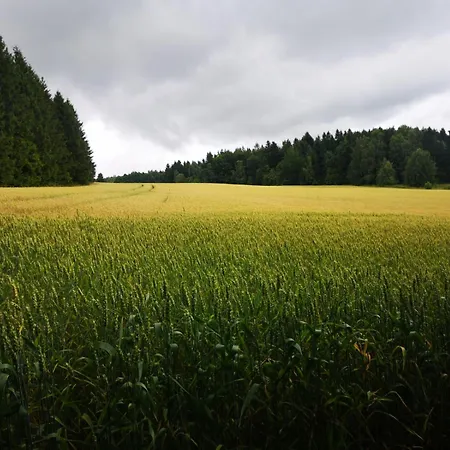 Natura Taszów Casa de Férias