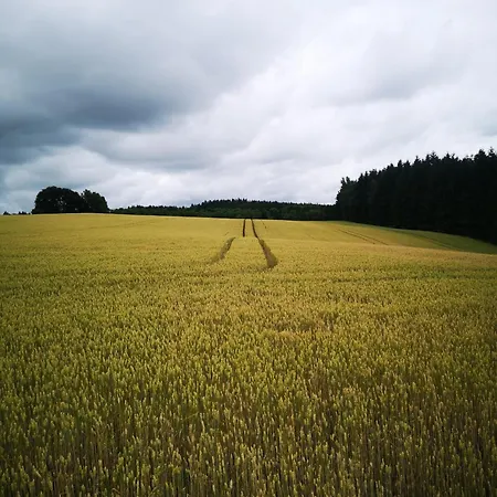 Дом отдыха Natura Taszow