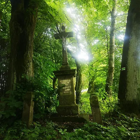 Natura Taszów *