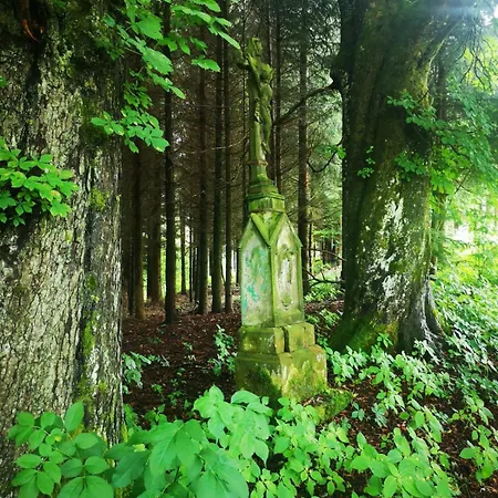 Natura Taszow Lewin Klodzki