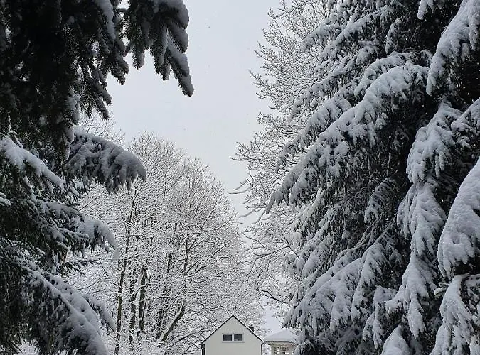 Дом отдыха Natura Taszow *