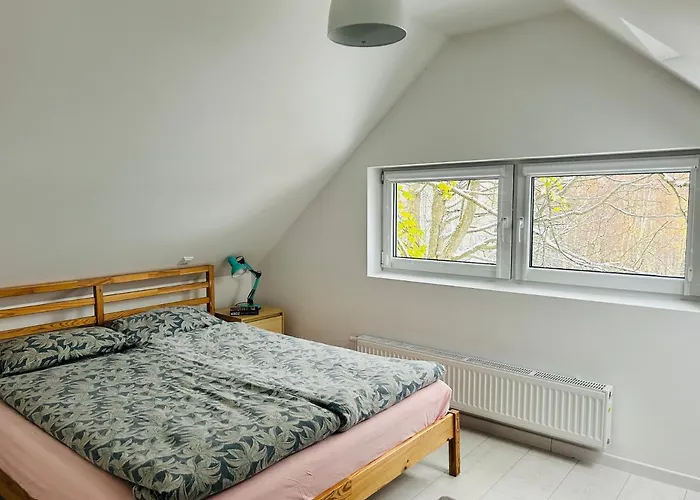 Natura Taszow Дом отдыха