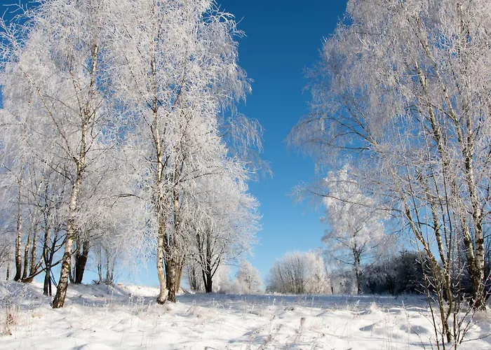 Natura Taszow * Lewin Klodzki