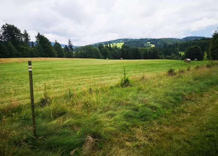 Natura Taszow Дом отдыха