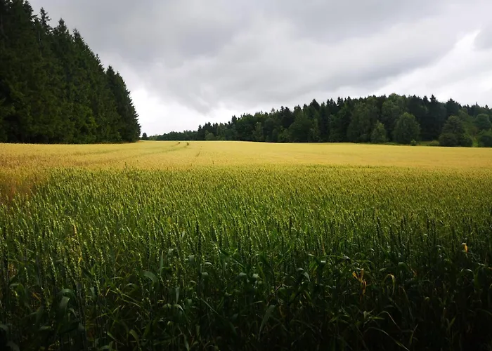 Natura Taszow Дом отдыха