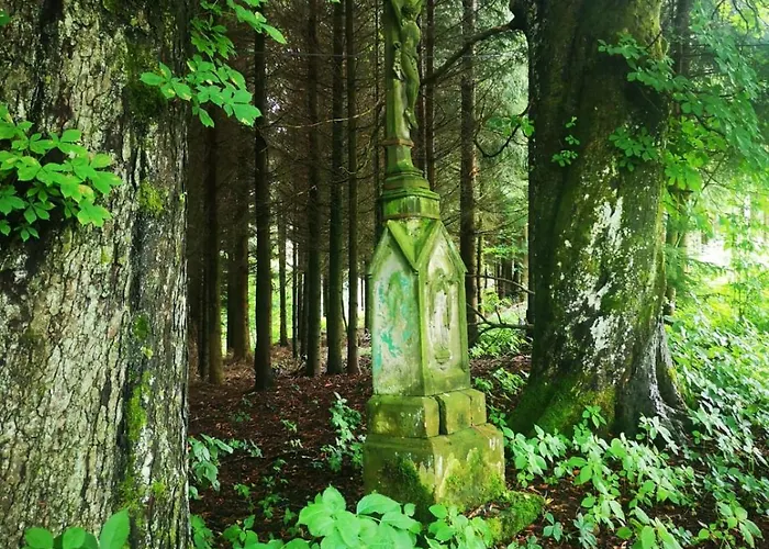 Natura Taszow Lewin Klodzki