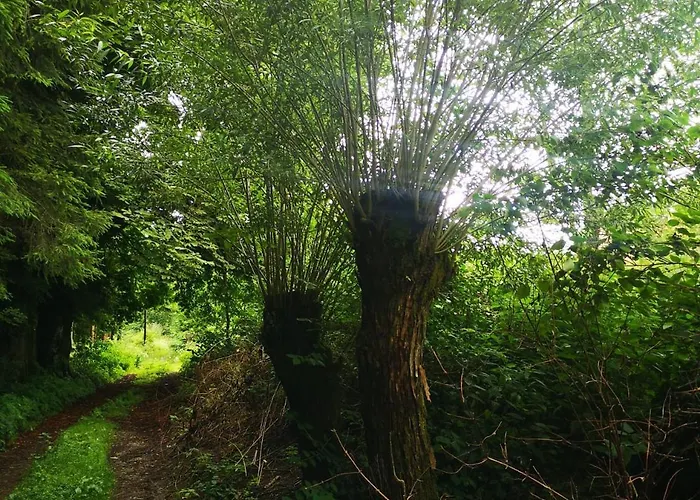 Natura Taszow Дом отдыха Lewin Klodzki